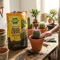 Article FRUX Soil Terreau pour cactus et bonsaïs 5 L