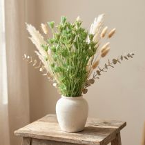 Article Fleurs séchées cumin noir nigelle verte 50cm 100g
