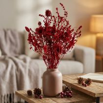 Article Bouquet de fleurs séchées, rouge vin, chardon décoratif, 40 cm, 80 g