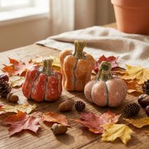 Article Ensemble de citrouilles : Petites citrouilles décoratives pour la décoration d'automne, 5 cm, lot de 3