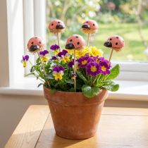 Article Bouchons de fleurs décoratifs coccinelle couleur bois 3,5cm 24 pcs