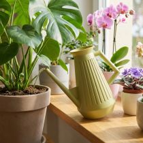 Article Arrosoir d'intérieur, vert olive, style rétro, 24,5 cm, 1,8 L, arrosoir design, plastique, pour plantes