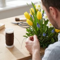 Article Myrte Fil Marron 0.35mm 100g