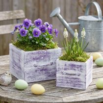 Article Tiroir à plantes avec poignée bois blanc violet 12/15cm lot de 2