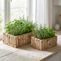 Article Bac à plantes bac à herbes en bois bouleau L23/28cm lot de 2
