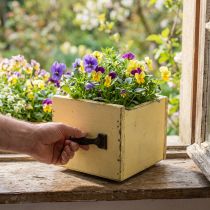 Article Tiroir Décoratif Shabby pour Planter du Bois Jaune 12.5×12.5×10cm
