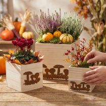 Article Cubes végétaux, bac à fleurs, décoration automne avec patine 20/16/12cm lot de 3