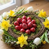 Article Oeuf de caille rouge 3cm décoration de Pâques 50 pcs