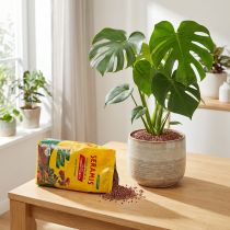 Article Seramis granulés végétaux pour plantes d'intérieur 2,5l