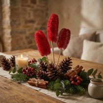 Article Luffa grand sur bâton rouge 25 pcs