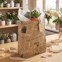 Article Sacs en papier sacs en papier sacs cadeaux 18x9cm journal 50pcs