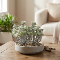 Article Plantes succulentes artificielles Stonecrop Plantes artificielles 16cm 4 pcs