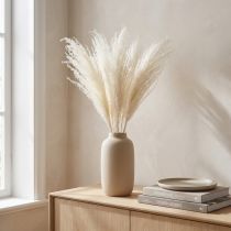 Article Fleurs séchées, graminées argentées. Décoration naturelle élégante pour la maison et le bureau. 70 cm, 10 pièces.