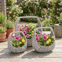 Article Panier en osier avec anse, gris délavé, H 43/34/27 cm, lot de 3