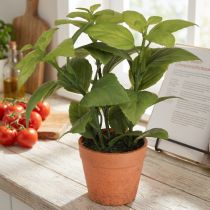 Article Basilic artificiel en pot Pot d'herbes aromatiques Plante artificielle 22 cm 2 pièces