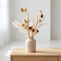 Article Hakea moyen 5-9 têtes par branche blanchies 25 pcs