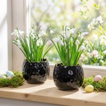 Article Pot de fleurs en céramique en forme d'œuf, noir, Ø10cm, H8cm, 2 pièces