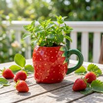 Article Coupelle en céramique fraise à planter 10cm Ø6,5cm