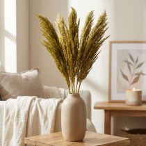 Article Herbe séchée, vert olive, décorative, 70 cm, lot de 10, substitut d'herbe de la pampa