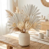 Article Palmspear Sun mini Feuilles de palmier blanchies 50 pièces