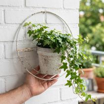 Article Cache-pot shabby chic décoration murale métal blanc avec suspension Ø37cm