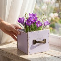 Article Tiroir Shabby Chic Deco Bois Violet Spring Deco 12.5×12.5×10cm