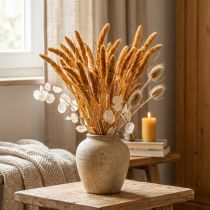 Article Fleurs séchées Setaria Pumila Orange, millet à soies décoratif 72 cm 200 g