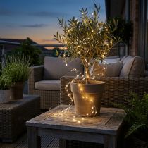 Article Guirlande lumineuse LED fil guirlande lumineuse minuterie extérieur 180cm