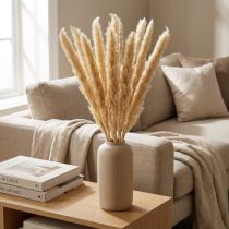 Article Branches décoratives de fleurs séchées d'herbe de la pampa pour la décoration de la maison et de la table