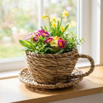 Article Panier à thé pour une décoration intérieure naturelle et une ambiance charmante 15 cm