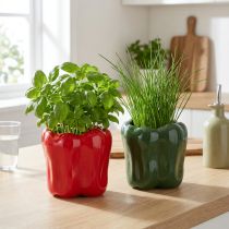 Article Pot de fleurs en céramique Poivrons rouge et vert Déco de cuisine moderne 13 cm, lot de 2