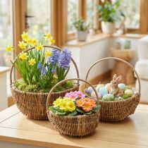 Article Ensemble de 3 paniers en osier, couleurs naturelles avec anses, paniers à plantes vintage Ø32/28/22 cm, panier décoratif, panier cadeau, panier de Pâques