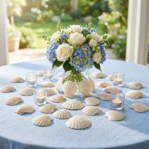Article Coquillages décoratifs en coquille Saint-Jacques naturels 3,5 cm–4 cm 300 g