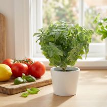 Article Menthe artificielle verte 25cm 12 pcs