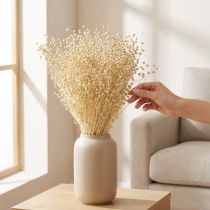 Article Herbe de lin séchée blanchie naturellement 50-55cm 180g