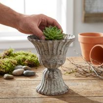 Article Coupe grise aspect antique Ø12cm H13.5cm