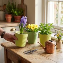 Article Cache pot en papier, jardinière, pot à planter bleu/vert Ø13cm H12.5cm 4pcs