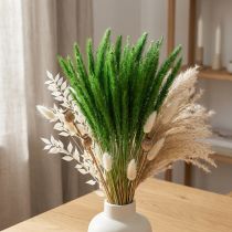 Article Millet à soies vertes Setaria viridis herbe sèche 52cm 28g