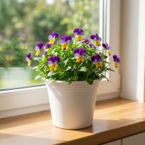 Article Pot en plastique « Irys » blanc Ø15cm H13cm 1 pc