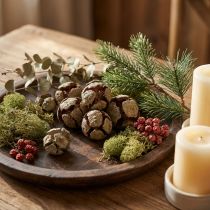 Article Cônes de cyprès naturels, 3 cm, 500 g