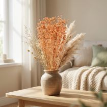 Article Fleurs de lin séchées décoratives abricot naturel 80g décoration bohème