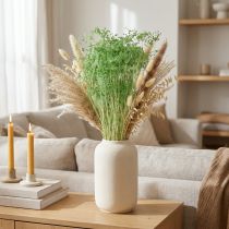 Article Fleurs séchées, ombellifères, vertes, 70-80 cm, 150 g