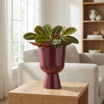Article Pot de fleurs en forme de coupe, style moderne, décoratif pour la maison et le bureau, 23 cm