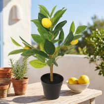 Article Citronnier artificiel en pot, 40 cm de haut, élément décoratif phare