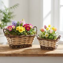 Article Jardinière, panier décoratif, carré, couleurs naturelles 21 × 16/16 × 13cm, lot de 2