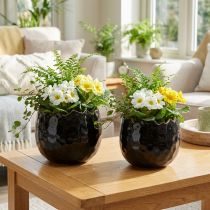Article Pot de Fleur Oeuf en Céramique Noir Pot de Plante Noir Ø12cm 2pcs