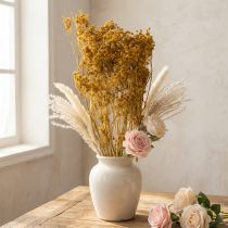 Article Bouquet de fleurs séchées d'aneth aux délicates fleurs pour une décoration romantique et vintage 55 cm