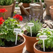 Article Étiquettes pour plantes 40 cm, lot de 10