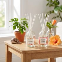 Article Diffuseur de parfum d'ambiance aux senteurs exotiques de noix de coco et de mangue pour une fraîcheur longue durée à la maison, 19 cm, lot de 2