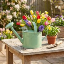 Article Arrosoir décoratif en métal, couleur menthe, pour plantes et décoration, printemps/été, H 26 cm, 5 L